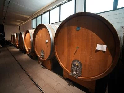 Thumbnail Degustazione di vino Barolo al Castello di Perno