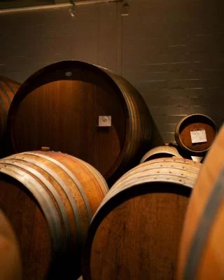 Thumbnail Barolo Weinprobe im Castello di Perno