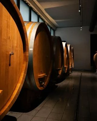 Thumbnail Barolo Wine Tasting Experience at Castello di Perno