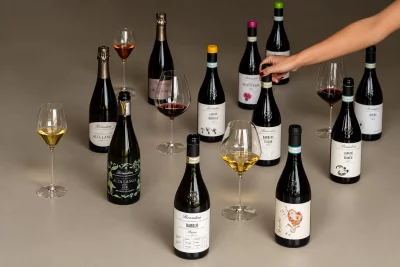 Thumbnail Dégustation de vins de Barolo et visite guidée du domaine Brandini à La Morra