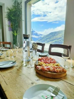 Thumbnail Weintour & klassische Weinprobe bei Agricola Bianchi im Tessin