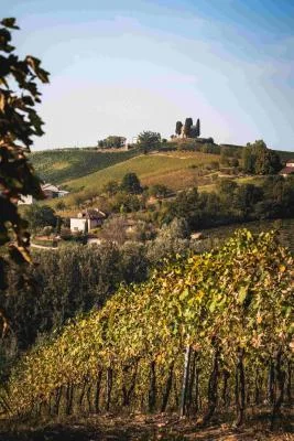 Thumbnail La Gironda Riserva Erlebnis, Besuch &amp; Verkostung in den Monferrato Hügeln