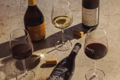 Thumbnail Friuli Aquileia DOC Wine Tasting & Cellar Tour at Valpanera