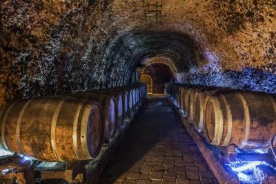 Thumbnail La Rioja - A journey through vineyards and tradition