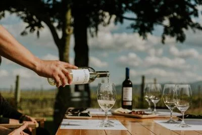 Thumbnail La Rioja - A journey through vineyards and tradition