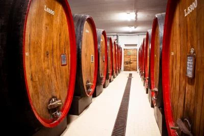 Thumbnail Découvre les vins de la Valteline à la Casa Vinicola Pietro Nera et à l'Azienda Agricola Caven