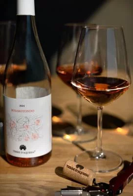 Thumbnail Wine tour e degustazione di vini presso Terre d'Aquesia nella Tuscia