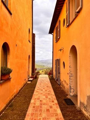 Thumbnail Wine tour e città a Orvieto, Umbria