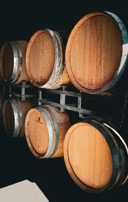 Thumbnail From soil to soul - Degustazione sensoriale di vini con abbinamento al cibo presso Mencaroni in Verdicchio dei Castelli di Jesi