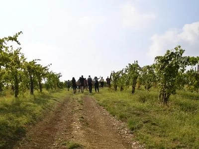 Thumbnail Visite guidée et dégustation de vin chez Calatroni à Oltrepò Pavese