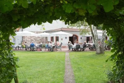 Thumbnail Degustazione esclusiva di vini con un giovane enologo presso la Weingut Sans-Lorch
