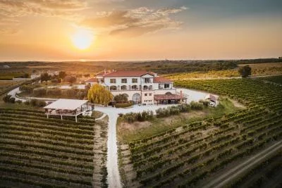 Thumbnail Reinas de Istria: Cata de vino, aceite y trufas en Cattunar