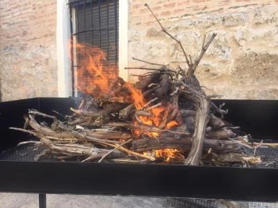 Thumbnail Un'esperienza unica di vino in famiglia presso Laderas de Valverde a Ribera del Duero