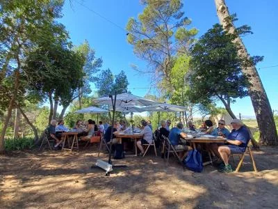 Thumbnail Private Premium Utiel-Requena Weintour mit Mittagessen auf dem Weingut ab Valencia
