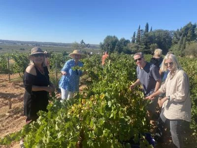 Thumbnail Excursión Privada Premium Utiel-Requena con Comida en Bodega desde Valencia