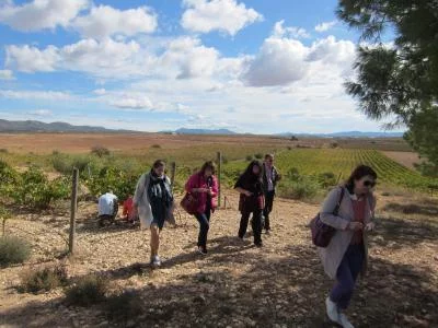 Thumbnail Wine tour privato Premium Utiel-Requena con pranzo in cantina da Valencia