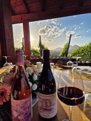 Thumbnail Vineyard tour & Wine Tasting and Aperitivo Day Trip from Rome