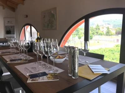 Thumbnail Corte Adami: Visita guiada al vino con una cata experience de Soave y Valpolicella