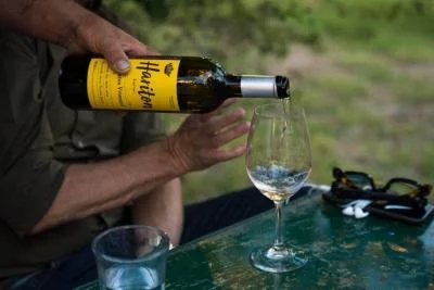 Thumbnail Weinprobe &amp; gastronomisches Erlebnis im Weingut Haritatos