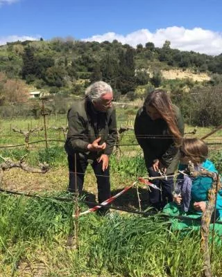 Thumbnail Weinprobe &amp; gastronomisches Erlebnis im Weingut Haritatos