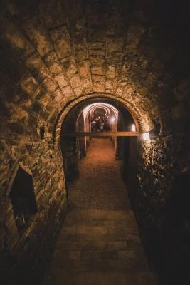 Thumbnail Tour e menu degustazione "Conero" alle Cantine Moroder