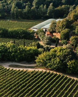 Thumbnail Excursión Privada Vinho Verde - Vino Verde desde Oporto