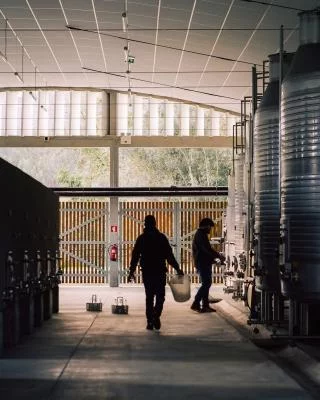 Thumbnail Vinho Verde - Wine tour privato da Porto