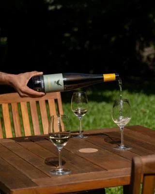 Thumbnail Visite privée du Vinho Verde - Vin vert au départ de Porto