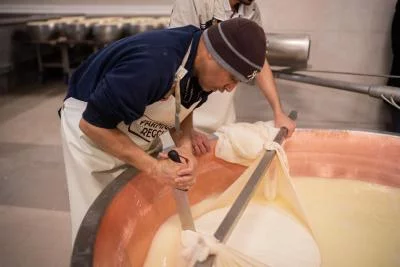 Thumbnail Bologna Food Valley – Esperienza Farm-to-Table: Caseificio, Cantina e Pranzo Tradizionale