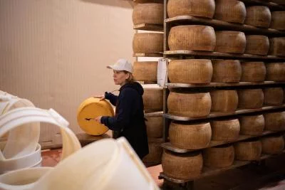Thumbnail Experiencia de la Granja a la Mesa en el Valle de los Alimentos de Bolonia: Lechería, Bodega y Almuerzo Tradicional