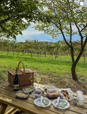Thumbnail Picnic experience at Razzano Castle with wine and museum visit
