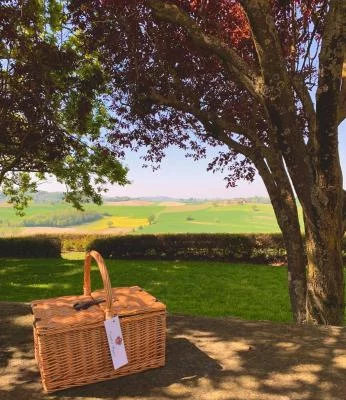 Thumbnail Esperienza di picnic al Castello di Razzano con vino e visita al museo