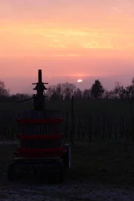 Thumbnail Immersi nel vigneto: Degustazione di 5 vini presso la Cantina Pietta sul Lago di Garda