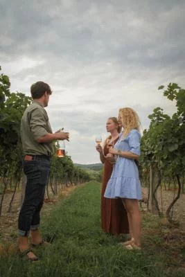 Thumbnail Découvre Pezinok et goûte les vins locaux à la cave de Merlaj