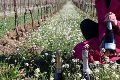 Thumbnail „Prelude“ – Weinprobe mit zwei Bio-Franciacorta-Weinen und Kellerführung bei Ronco Calino in Adro