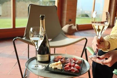 Thumbnail „Prelude“ – Weinprobe mit zwei Bio-Franciacorta-Weinen und Kellerführung bei Ronco Calino in Adro