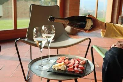 Thumbnail „Prelude“ – Weinprobe mit zwei Bio-Franciacorta-Weinen und Kellerführung bei Ronco Calino in Adro