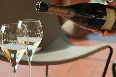 Thumbnail Cata de Franciacorta ecológico «Prelude» con 2 vinos y visita a la bodega en Ronco Calino, en Adro