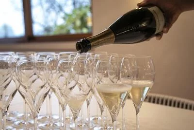 Thumbnail "Prelude" Degustazione di Franciacorta biologico: 2 vini e visita alla cantina presso Ronco Calino ad Adro