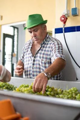 Thumbnail Weinprobe in der Bodegas Calvente an der Costa Granadina