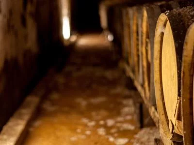 Thumbnail Tempéré par les brises de l'Atlantique : Visite privée des vins de Lisbonne
