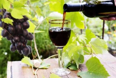 Thumbnail Tempéré par les brises de l'Atlantique : Visite privée des vins de Lisbonne