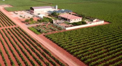 Thumbnail Experiencia Premium de Vino en Finca El Refugio: Recorrido por el Viñedo y Degustación