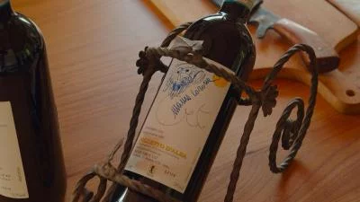 Thumbnail Passeggiata tra i vigneti e degustazione presso la cantina Renzo Drocco