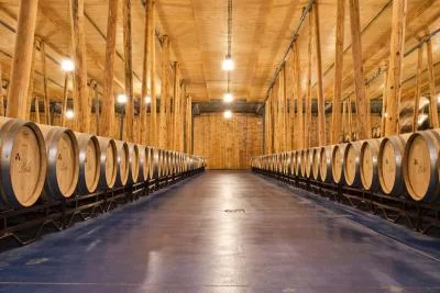 Thumbnail Primordial Wine Experience at Bodega Bela in Ribera del Duero