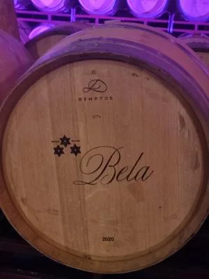 Thumbnail Primordial Wine Experience à la Bodega Bela à Ribera del Duero