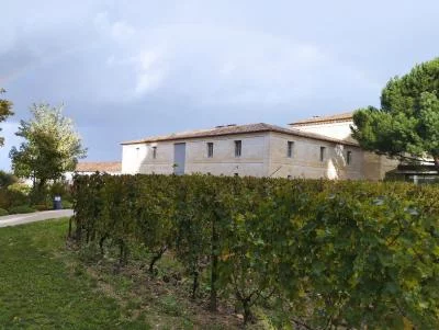 Thumbnail Wine tour privato di Pomerol e Saint Emilion da Bordeaux