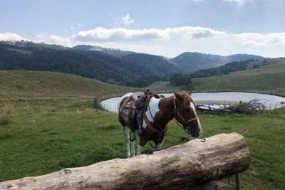 Thumbnail Reiten im Valpolicella mit Amarone-Verkostung