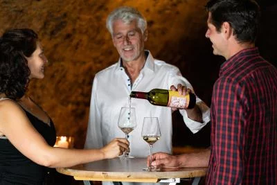 Thumbnail Wine Tasting and Tour at Winery Luegmayer through 500 year old traditional cellar in Gumpoldskirchen