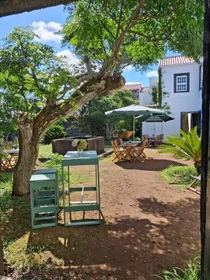 Thumbnail Cata Clásica de 4 Vinos Volcánicos en la Adega do Vulcão en Pico, Azores